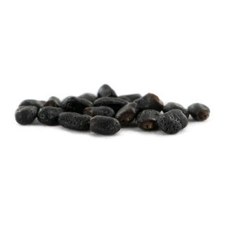 Prickly Pack – meskalinkaktusfrön