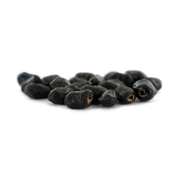 Prickly Pack – meskalinkaktusfrön