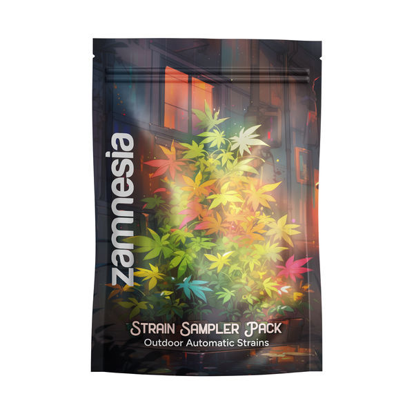 Sortprovpaket – Autoflower för utomhusodling