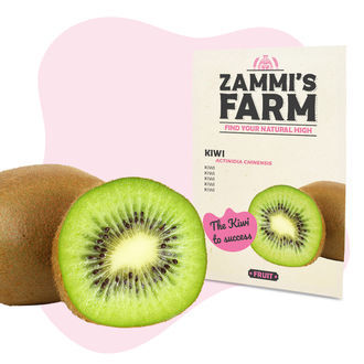 Fruktfröpaket – Zammi's Farm