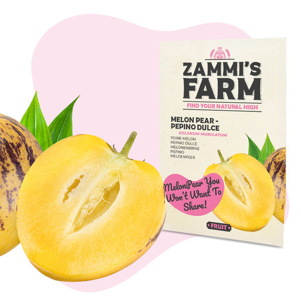 Fruktfröpaket – Zammi's Farm