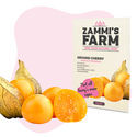 Fruktfröpaket – Zammi's Farm