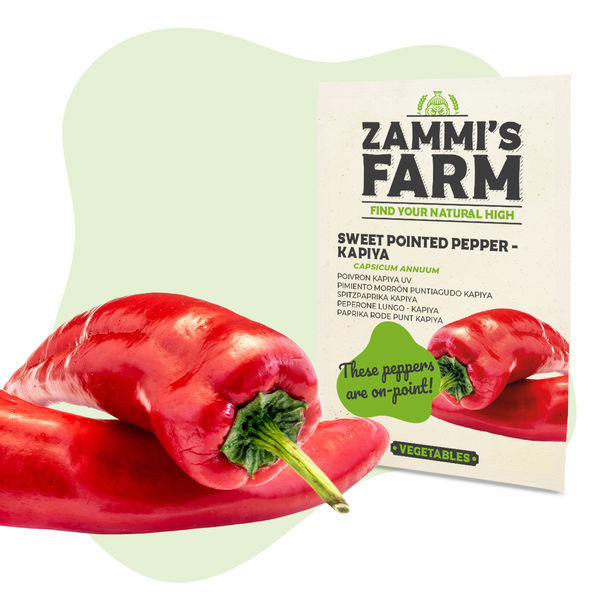 Grönsaksfröpaket - Zammis gård