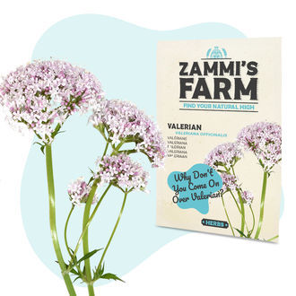 Växtfröpaket för välmående - Zammi’s Farm