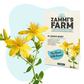Växtfröpaket för välmående - Zammi’s Farm
