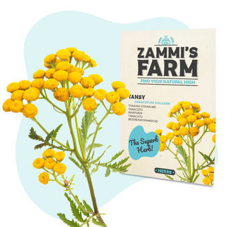 Växtfröpaket för välmående - Zammi’s Farm