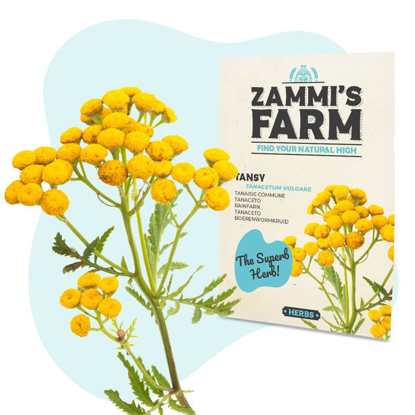 Växtfröpaket för välmående - Zammi’s Farm