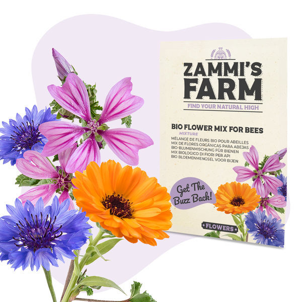 Fröpaket med blomfrön – Zammi's Farm
