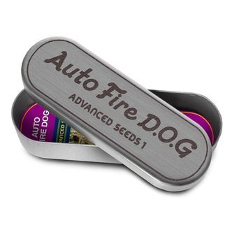 Auto Fire DOG (Advanced Seeds) feminiserade cannabisfr&ouml;n
