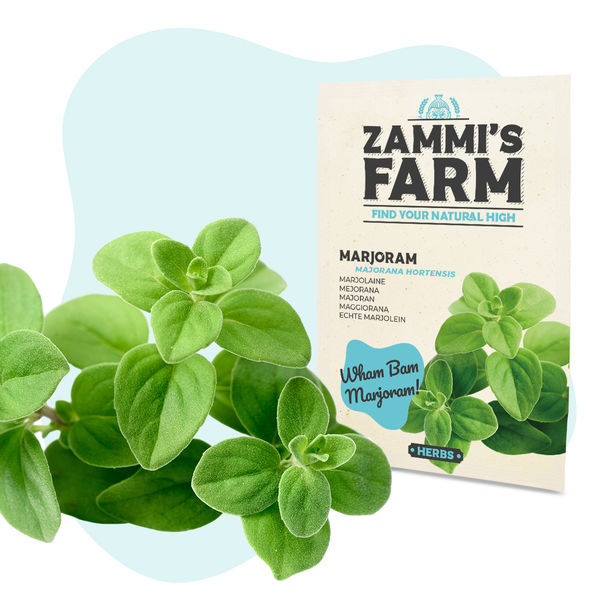 BBQ-örter fröpaket - Zammi's Farm