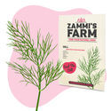 BBQ-örter fröpaket - Zammi's Farm