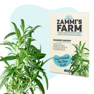 Teörtfröpaket – Zammi's Farm