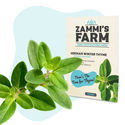 Teörtfröpaket – Zammi's Farm