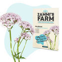 Teörtfröpaket – Zammi's Farm