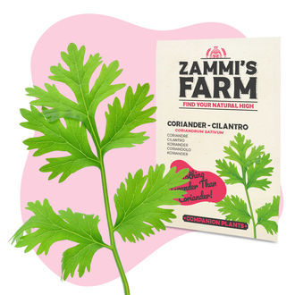 Köksörter fröpaket – Zammi's Farm