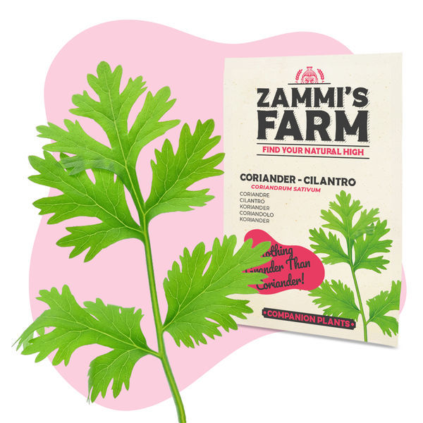 Köksörter fröpaket – Zammi's Farm