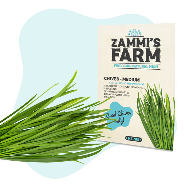 Köksörter fröpaket – Zammi's Farm