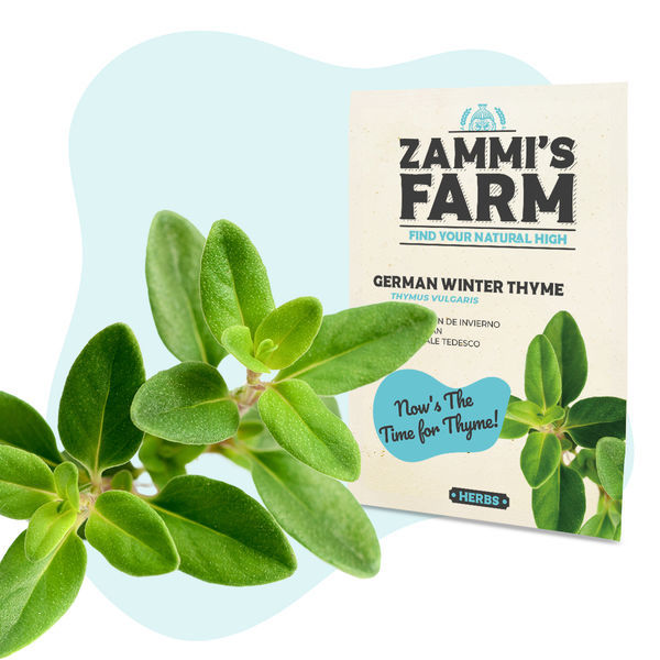 Köksörter fröpaket – Zammi's Farm