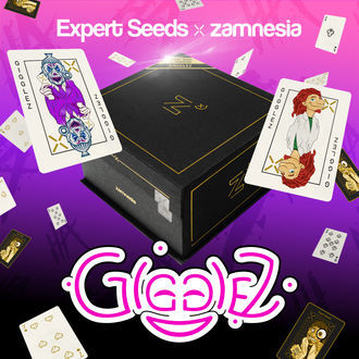 Gigglez (Expert Seeds x Zamnesia) Feminiserade