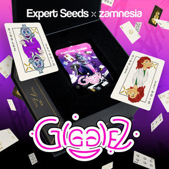 Gigglez (Expert Seeds x Zamnesia) Feminiserade