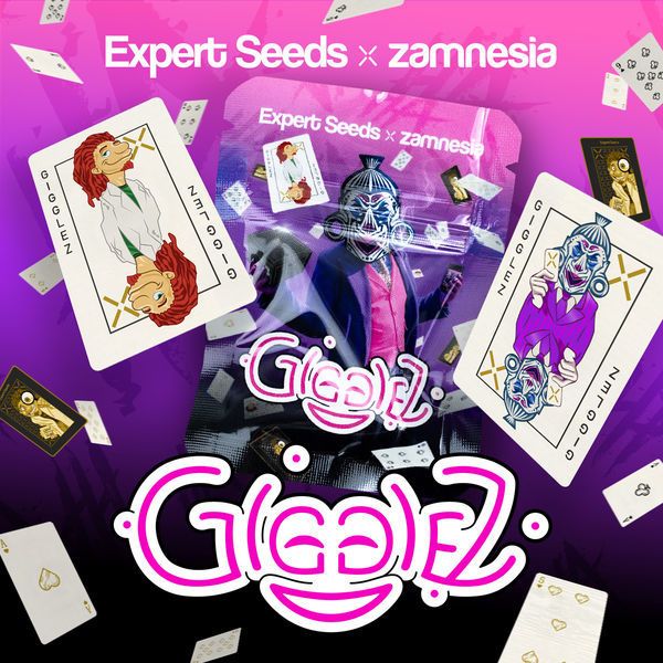 Gigglez (Expert Seeds x Zamnesia) Feminiserade