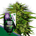 Green Crack F1 Autoflower (Zamnesia Seeds) Feminiserade