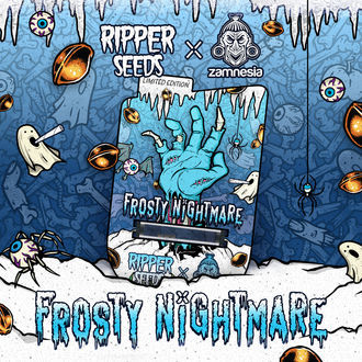 Frosty Nightmare (Ripper Seeds x Zamnesia) Feminiserade