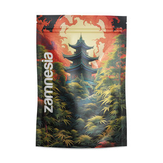 Japanska Z-Lock Förvaringspåsar (stor)