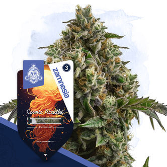 Cosmic Noodles (Zamnesia Seeds) feminiserade