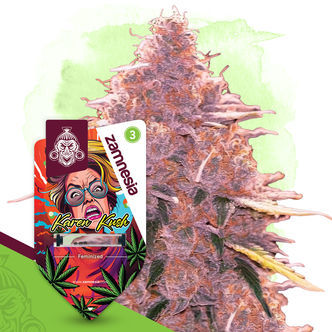 Karen Kush (Zamnesia Seeds) feminiserade cannabisfr&ouml;n