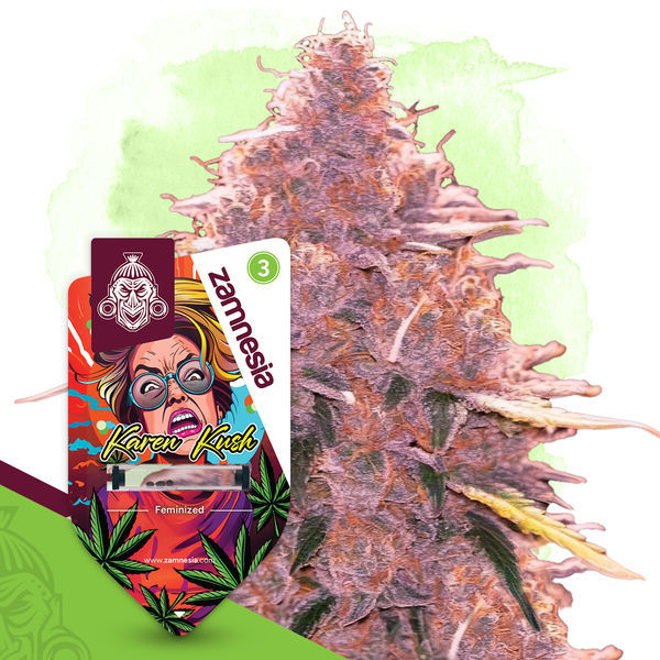 Karen Kush (Zamnesia Seeds) Feminiserade