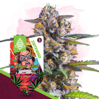Karen Kush Autoflower (Zamnesia Seeds) Feminiserade