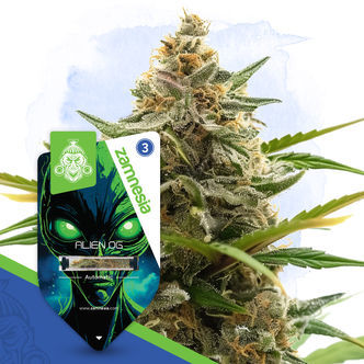 Alien OG Automatic (Zamnesia Seeds) feminiserade cannabisfr&ouml;n