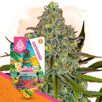 LA Kush Cake (Zamnesia Seeds) Feminiserade