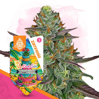 LA Kush Cake Autoflower (Zamnesia Seeds) Feminiserade