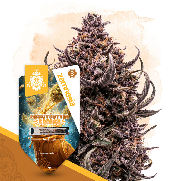 Peanut Butter Breath (Zamnesia Seeds) Feminiserade