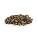 Voacanga africana (5 gram)