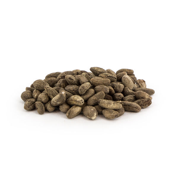 Voacanga africana (5 gram)