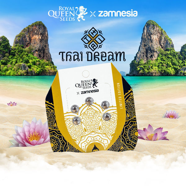 Thai Dream (Royal Queen Seeds x Zamnesia) Feminiserade