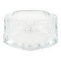 Askfat i glas (Zamnesia)
