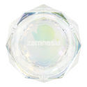 Askfat i glas (Zamnesia)