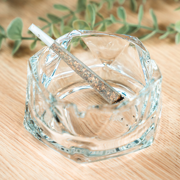 Askfat i glas (Zamnesia)