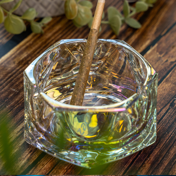 Askfat i glas (Zamnesia)