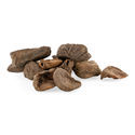 Kolafrukt – Cola nitida