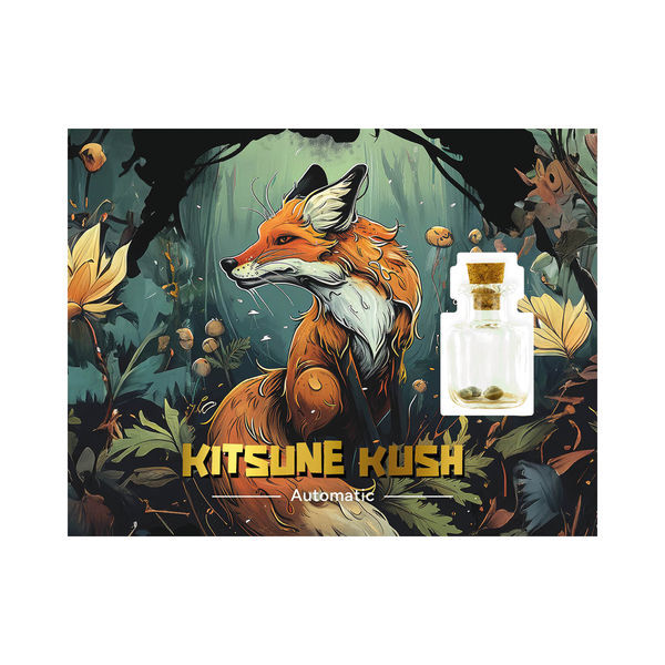 Kitsune Kush Auto (Zamnesia Seeds) Feminiserade