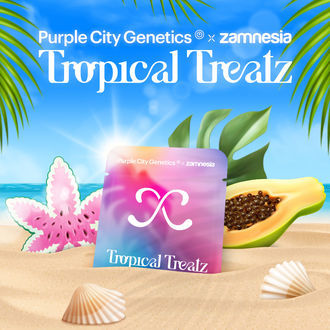 Tropical Treatz (Purple City Genetics x Zamnesia Seeds) Feminiserade