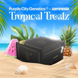 Tropical Treatz (Purple City Genetics x Zamnesia Seeds) Feminiserade
