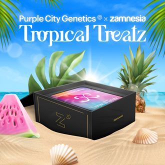 Tropical Treatz (Purple City Genetics x Zamnesia Seeds) Feminiserade