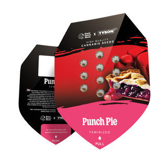 Punch Pie (Royal Queen Seeds) Feminiserade