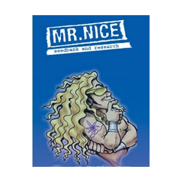 NL5 x Afghan (Mr. Nice) reguljär